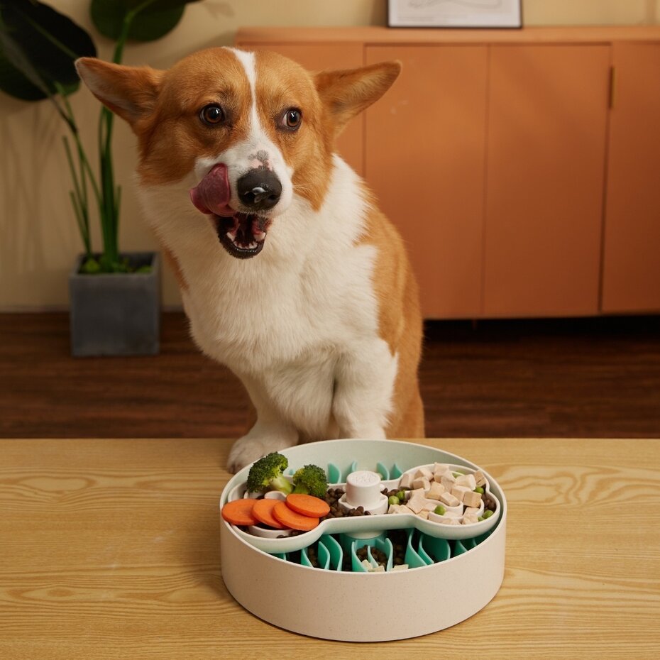 Pet Future Puzzle Feeder Slow Feeder Voerpuzzel Wit Groen