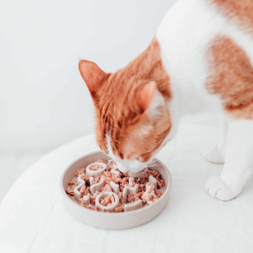 District 70 BAMBOO Cat Slow Feeder - Stijlvolle anti-schrok voerbak